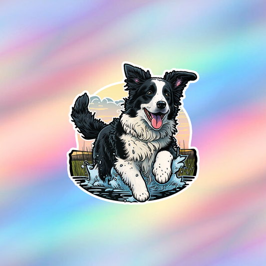 Border Collie Single Sticker