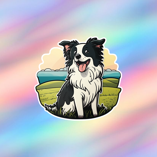 Border Collie Single Sticker