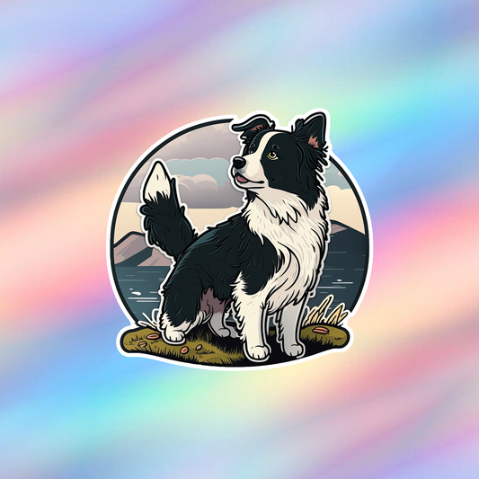 Border Collie Single Sticker