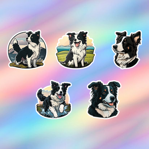 Border Collie Stickers Pack of 5