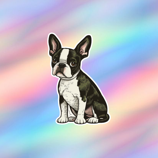 Boston Terrier Single Sticker