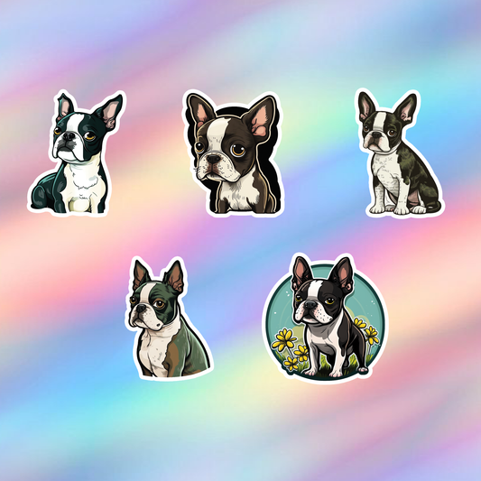 Boston Terrier Stickers Pack of 5