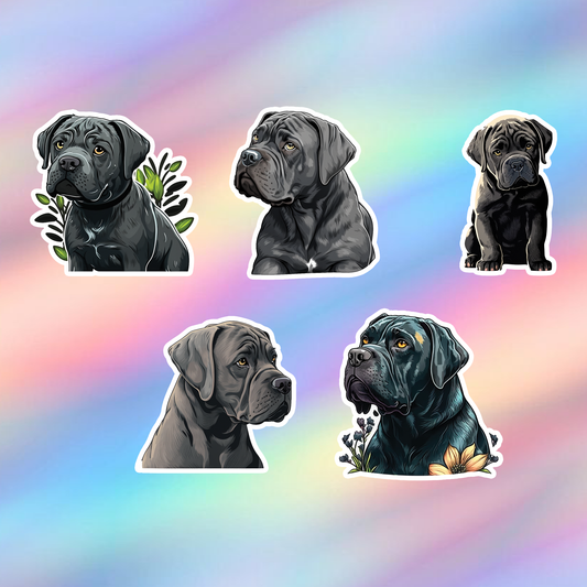 Cane Corso Stickers Pack of 5