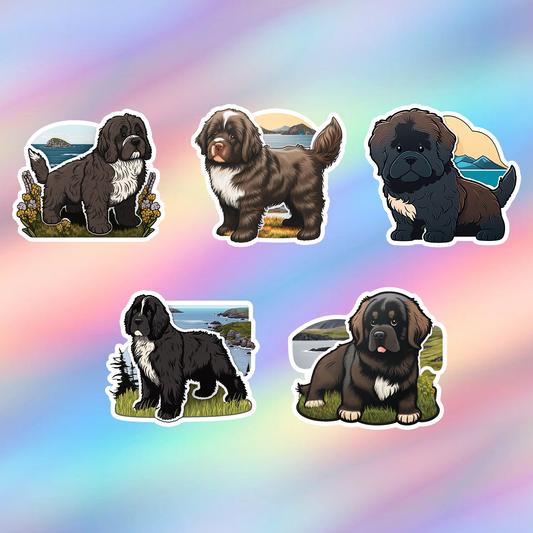 Newfoundland Stickers Pack of 5