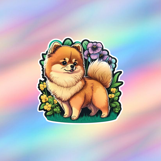 Pomeranian Single Sticker