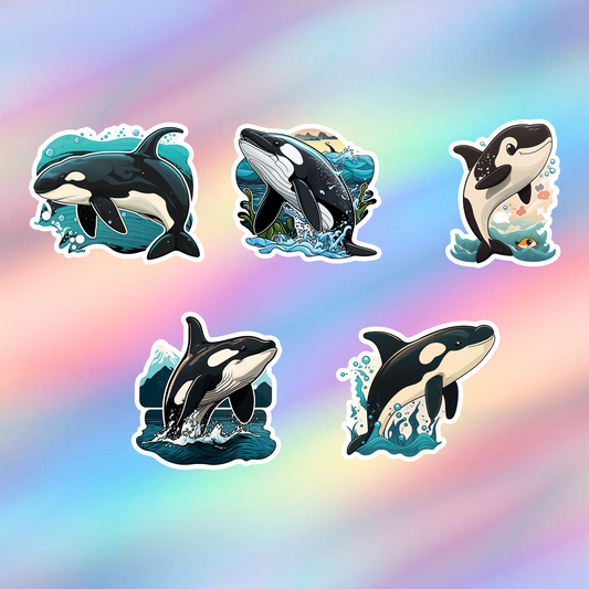 Orca Stickers Pack of 5