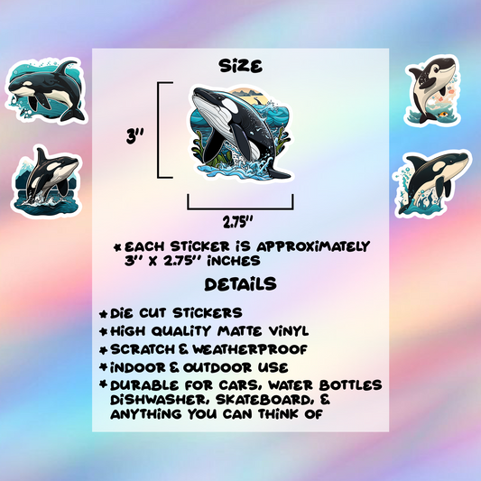 Orca Stickers Pack of 5