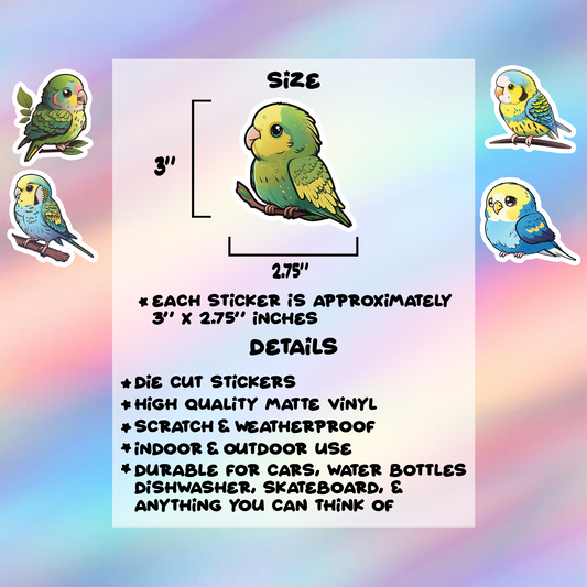 Parakeet Stickers Pack of 5